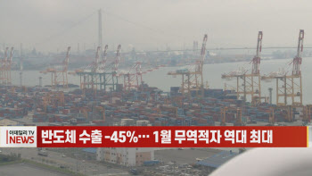 (영상)반도체 수출 -45%… 1월 무역적자 역대 최대