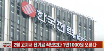 (영상)2월 고지서 전기료 작년보다 1만1000원 오른다