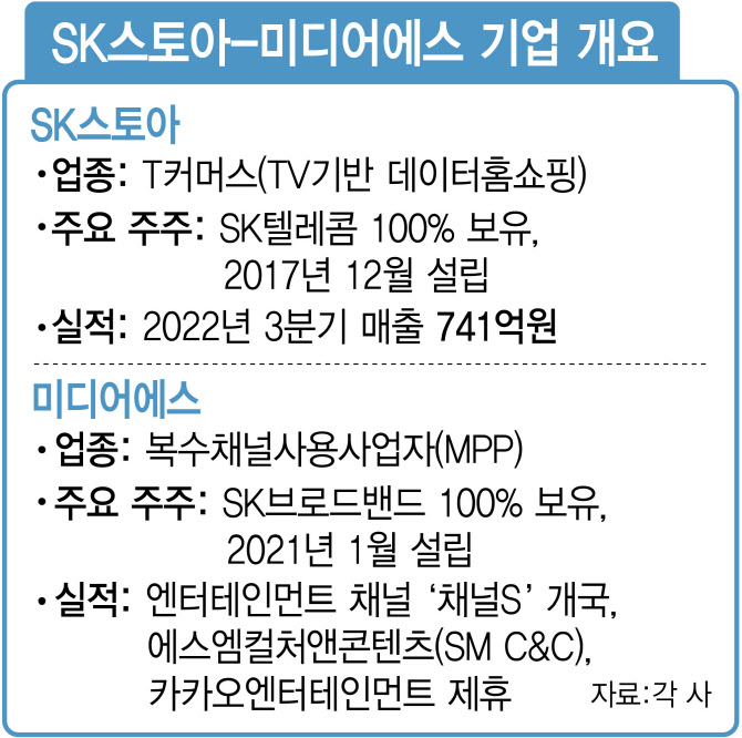 SK스토아-미디어에스 합병하나…SK콘텐츠 전략 방향타