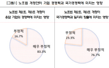 법보다 힘센 파업 오나…“노란봉투법, 청년 일자리 없앨 것”