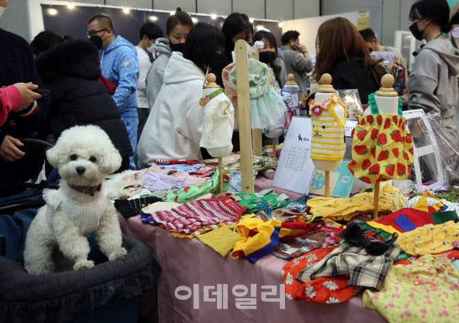  패션 좀 바꿔볼까...                                                                                                                                                                              