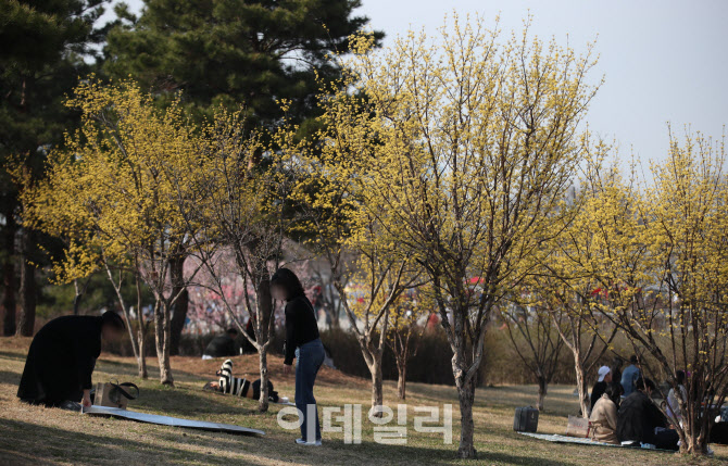 '봄을 즐기는 방법'                                                                                                                                                                      