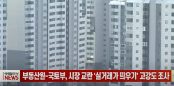 (영상) 부동산원-국토부, 시장 교란 '실거래가 띄우기' 고강도 조사