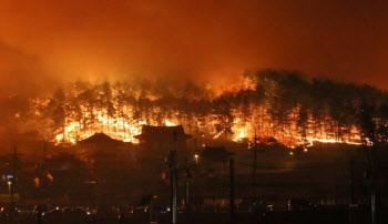 강원 4개 지역서 동시다발적 산불…일부 야간진화 중