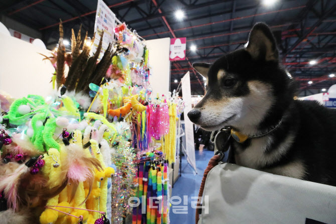 내가 원하는 장난감은?                                                                                                                                                                             