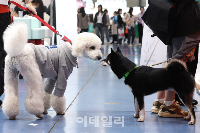 케이펫페어, 친구 만났어요~                                                                                                                                                                        