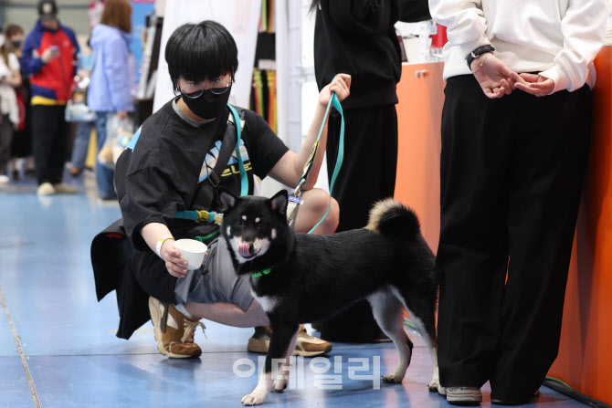 간식 먹어보자~                                                                                                                                                                                    