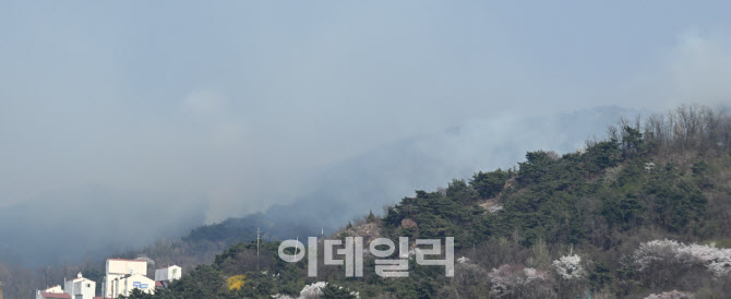 인인왕산 산불 진화 작업                                                                                                                                                                           