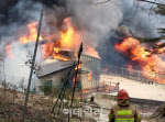 민가로 덮친 강릉 산불에 40채 피해…24채 전소