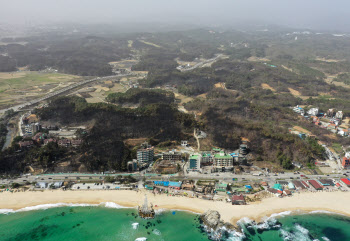 尹, 강릉 특별재난지역 선포…"이재민, 피해 복구 지원에 만전"