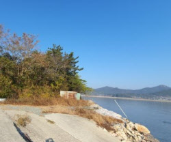 은마 26.5억…장흥 임야 150명 몰려 낙찰가율 477%[경매브리핑]