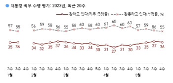 尹대통령 지지율 36%…긍·부정 평가 1위 '외교'[한국갤럽]