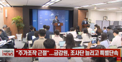 (영상)"주가조작 근절"...금감원, 조사단 늘리고 특별단속