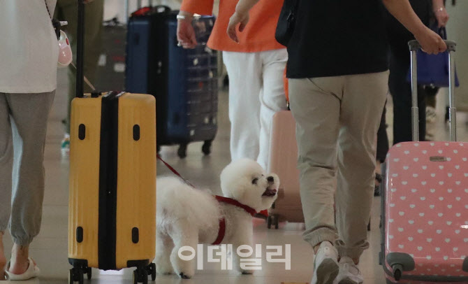 '여행 잘가개'                                                                                                                                                                           