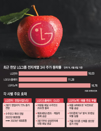 애플 훈풍에 달아오르는 LG그룹 전자계열 '삼총사'