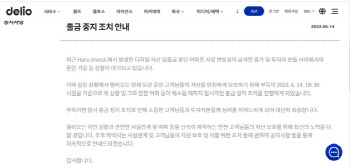 '델리오'도 코인 판 돈 출금 일시 중단…"하루인베스트 여파"