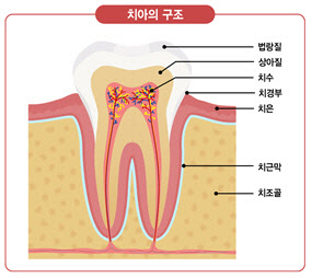 갑자기 찾아온 치통, 혼자 고민하지 마세요