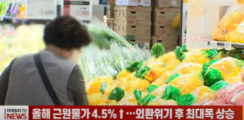 (영상)올해 근원물가 4.5%↑…외환위기 후 최대폭 상승