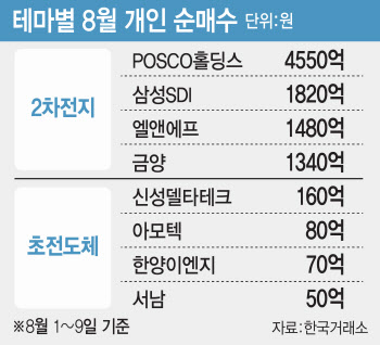 다시 2차전지 사들이는 개미…초전도체株도 '사자'