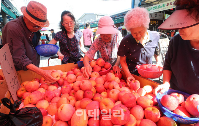 추석 앞두고 사과 고르는 시민들                                                                                                                                                                    
