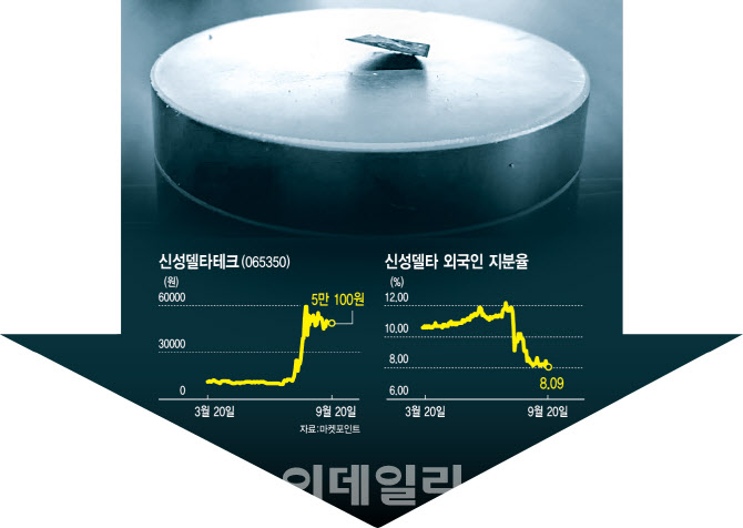 사그라진 초전도체株 마지막 불꽃…'믿음' 못 버리는 개미