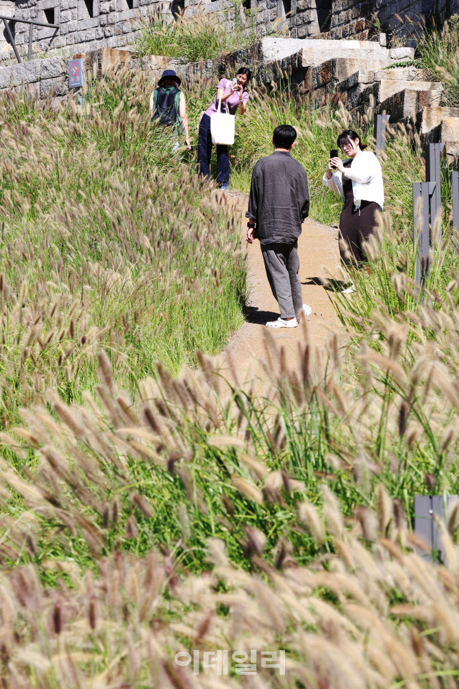 기억하고 싶은 가을                                                                                                                                                                                