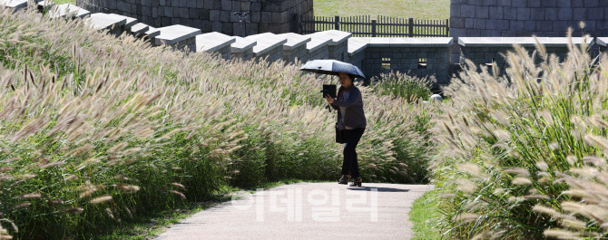 가을로 향하는 길                                                                                                                                                                                  