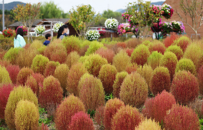  물들어가는 가을                                                                                                                                                                                  