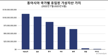 '큰 손' 막은  韓 코인시장…"투기적 경향만 키워"