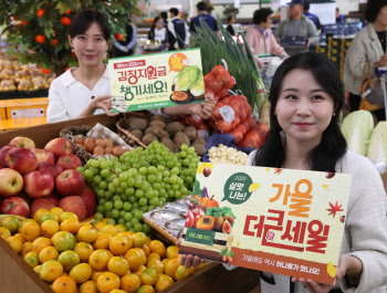 농협유통, 통합 2주년 '더 큰 세일' 최대 49%