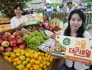 하나로마트 유통 통합 2주년 최대 49% 세일