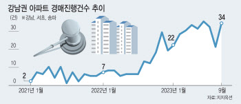 고금리·경기위축…강남 아파트마저 '경매行'