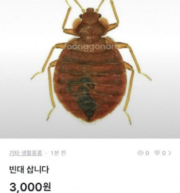 “빈대 10마리 삽니다. 층간소음 복수용”