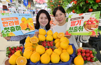 겨울에 더 맛있는 딸기와 한라봉