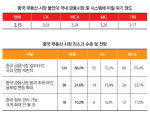 [34th SRE][Issue]중국, 리스크 맞지만…"영향 제한적"