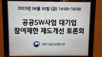 공공SW 대기업 문턱 낮추는 정부…업계 "예산부터 늘려야"