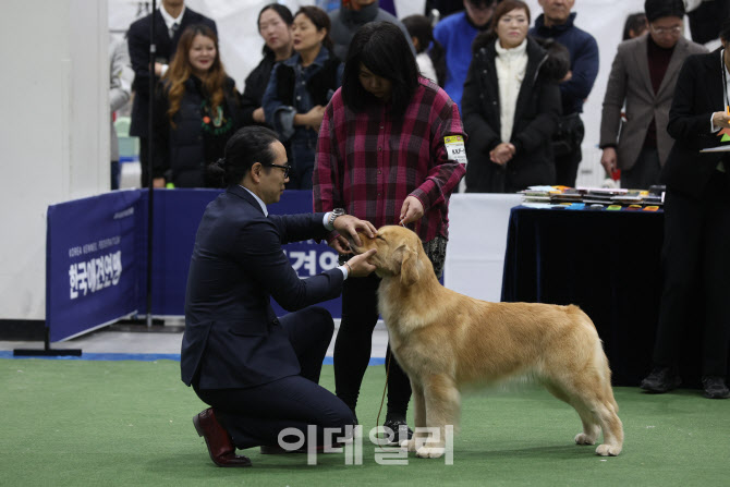 프리미어 도그쇼                                                                                                                                                                                   