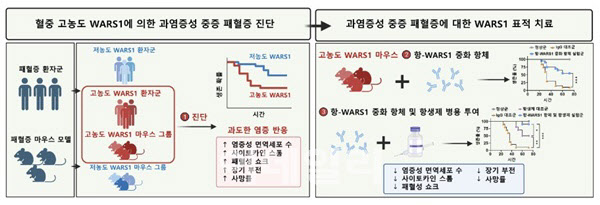 미림진, 패혈증 테라노스틱스 연구, 세계적 의학지 게재 - 뉴스 썸네일 이미지