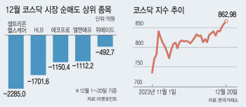 양도세에 발목잡힌 2차전지…상승장에 나홀로 '뚝'