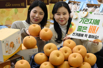 겨울철 영양간식 '배'