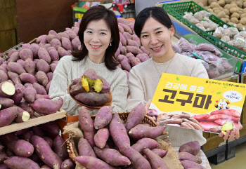 농협유통, 영양간식 고구마