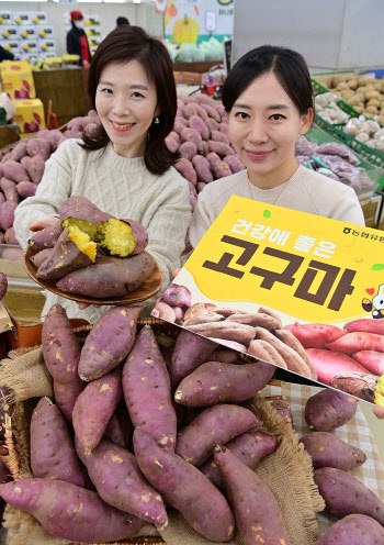 건강에 좋은 고품질 고구마