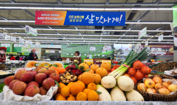 농협경제지주, 10대 성수용품 할인행사