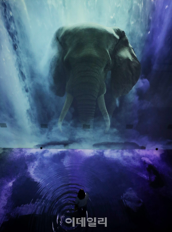 코끼리와 마주하다                                                                                                                                                                                 