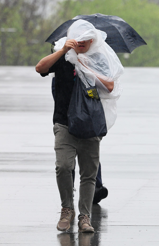  '급한대로 비닐로'                                                                                                                                                                      