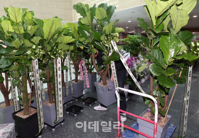 '당선축하 화분 배달입니다'                                                                                                                                                              