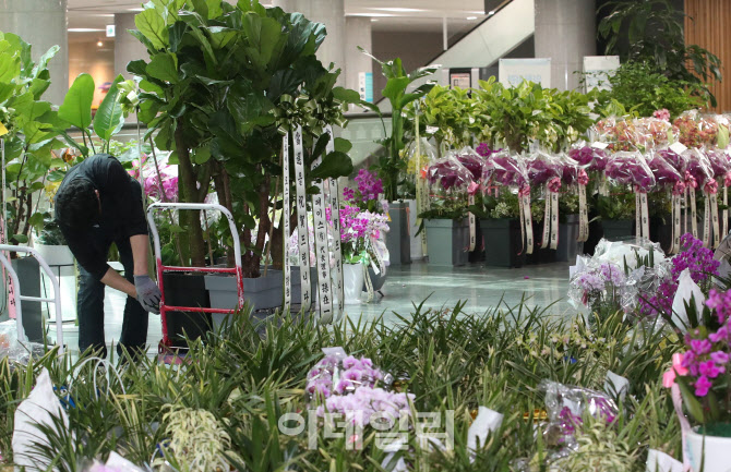'당선 축하화분이 가득'                                                                                                                                                                  