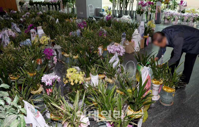 '국회로 배달된 당선 축하화분'                                                                                                                                                           