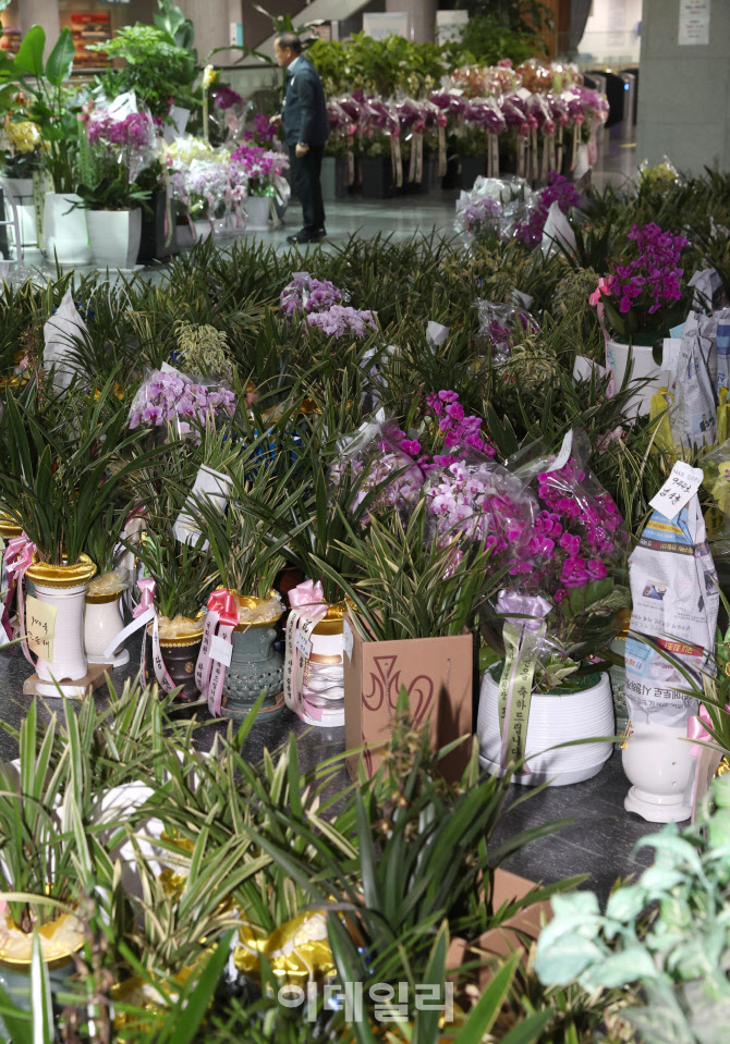 '당선 축하화분 가득'                                                                                                                                                                    