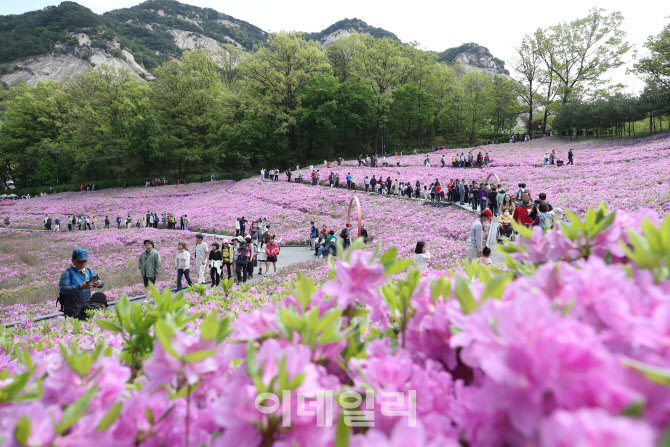 '2024 불암산 출쭉제'로 초대합니다                                                                                                                                                       